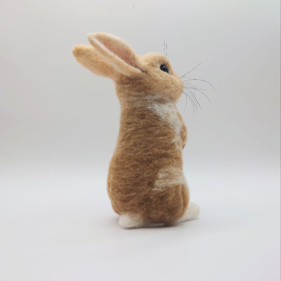 Miki様専用 羊毛フェルト