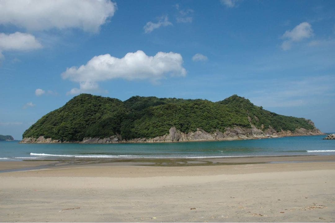 映画GRANBLUEのジャックマイヨールの希少サイン 横向きイルカ査定額60