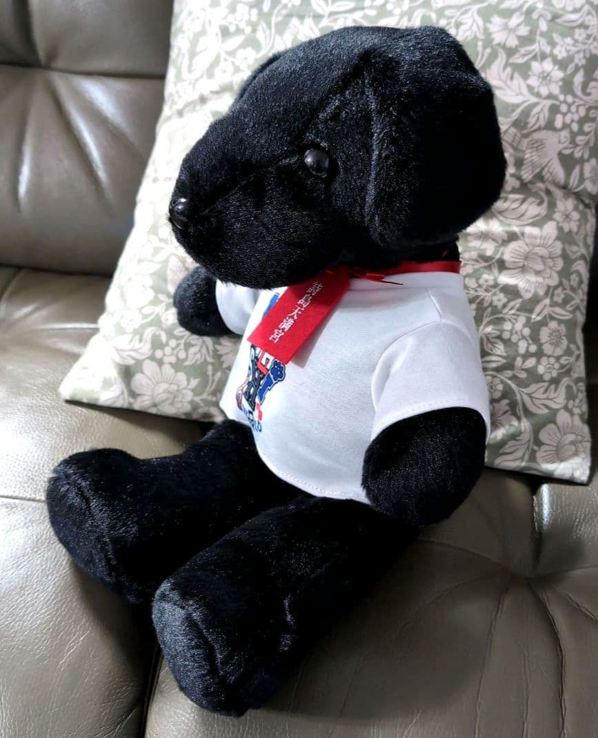 さだまさし 50周年記念 完全予約受注生産 詩之助ぬいぐる