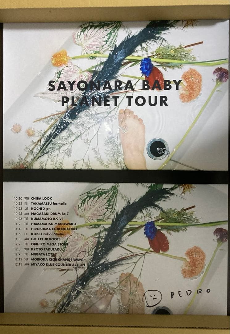 PEDRO ポスター　5枚セット　アユニ・D アユニD アユニ・D(BiSH)によるソロバンドプロジェクト「PEDRO」、ファースト