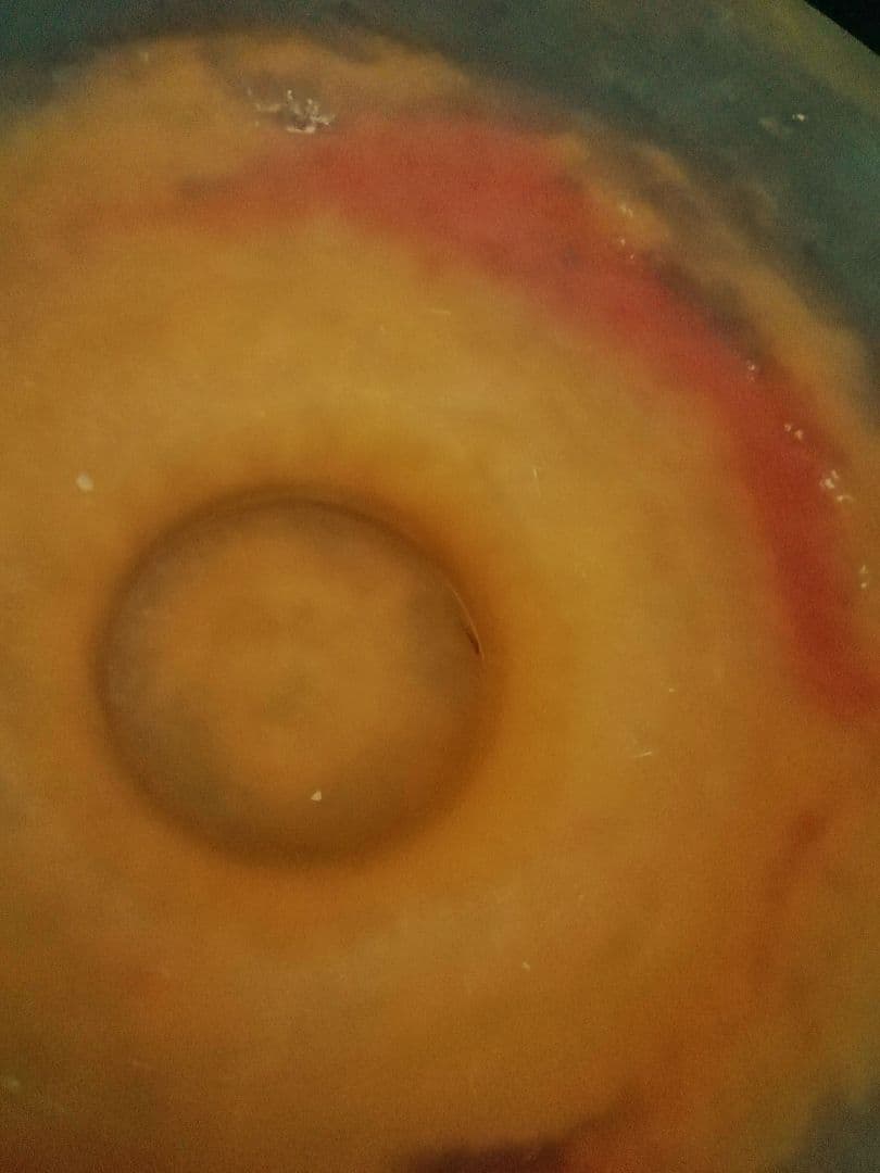 アール・ヌーヴォーコンポートアンティークミューラーヴィトリオフィ