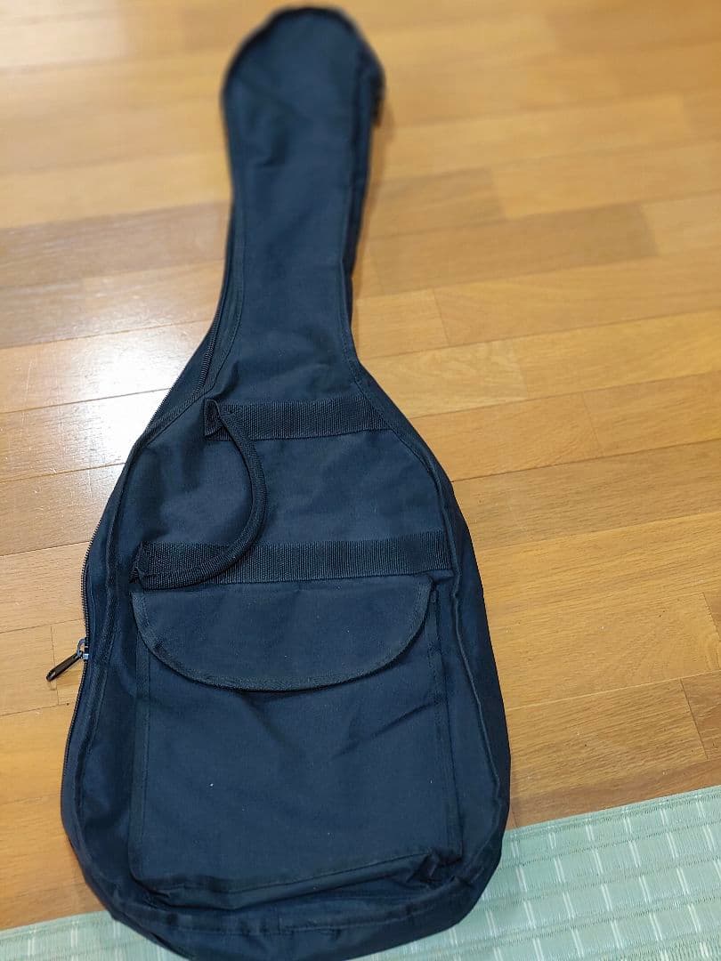 数日で出品終します了げアリアプロVA-353 ギター アイボリーソフトケース付き