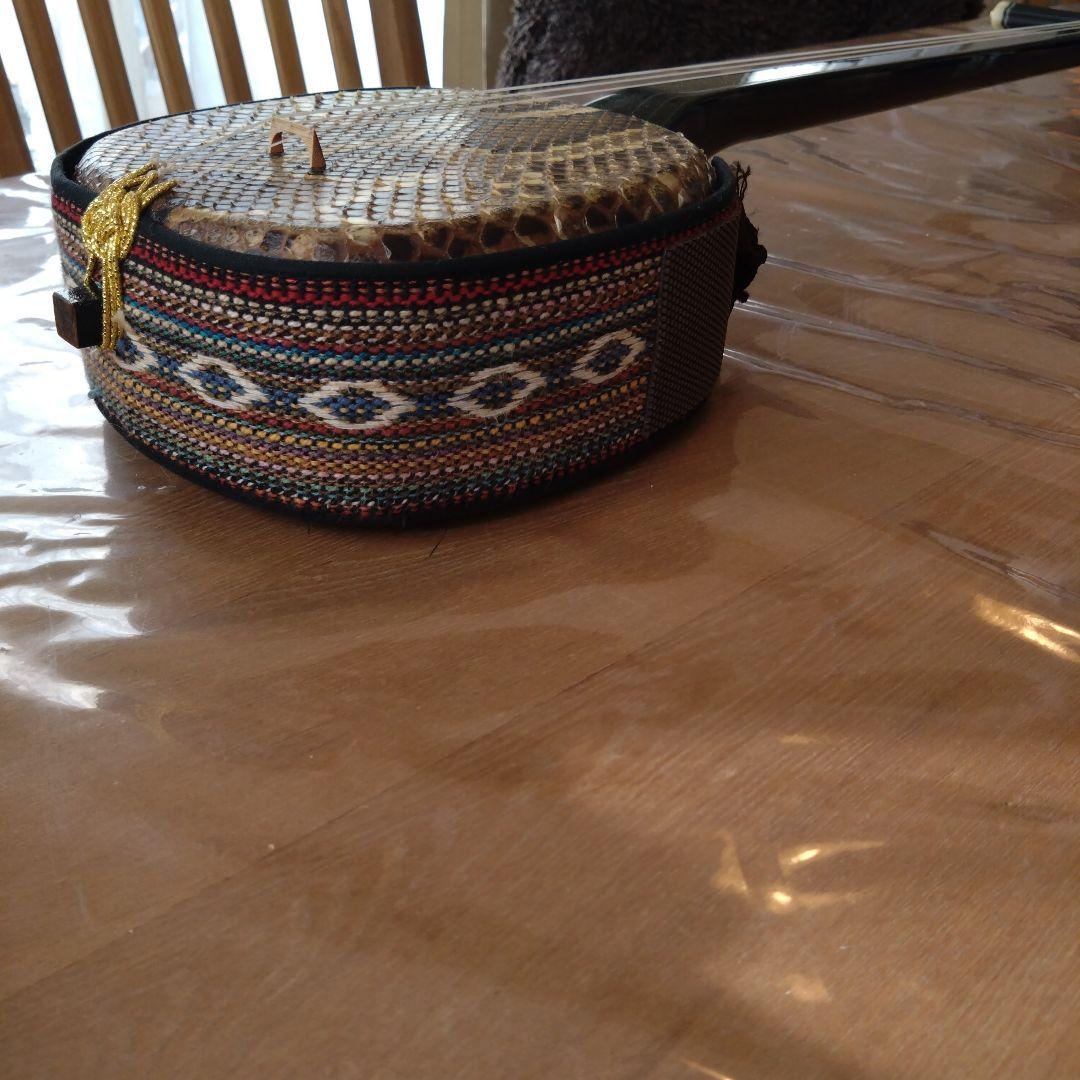 沖縄三線 蛇本皮 セミハードケース、バチ、新品の弦付き