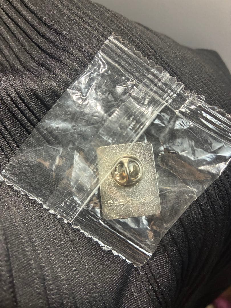 大阪関西万博】チェコパビリオン 関係者用 非売品ピンバッジ 青