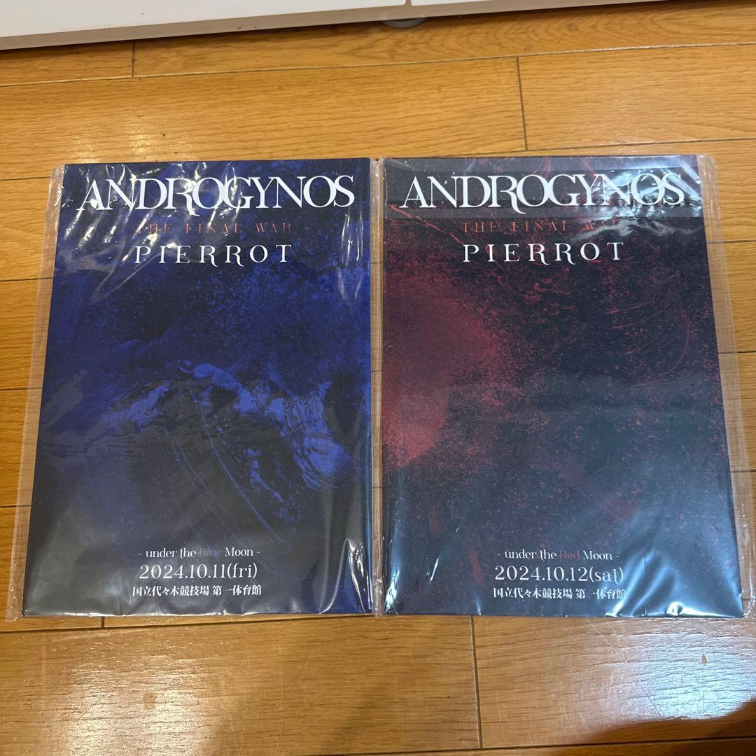 ANDROGYNOS パンフレット2冊セット