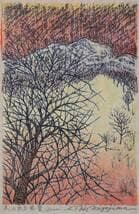真作】版画 技法不明 木のある風景 繊細な線描と色彩の調和