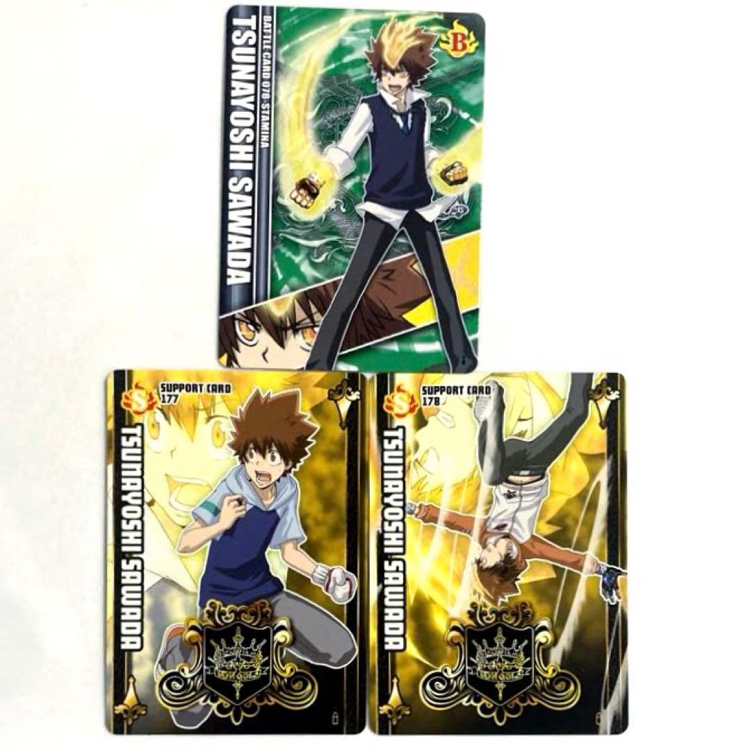 家庭教師ヒットマンREBORN! サザンクロスバトルカード 沢田綱吉 ツナ 3