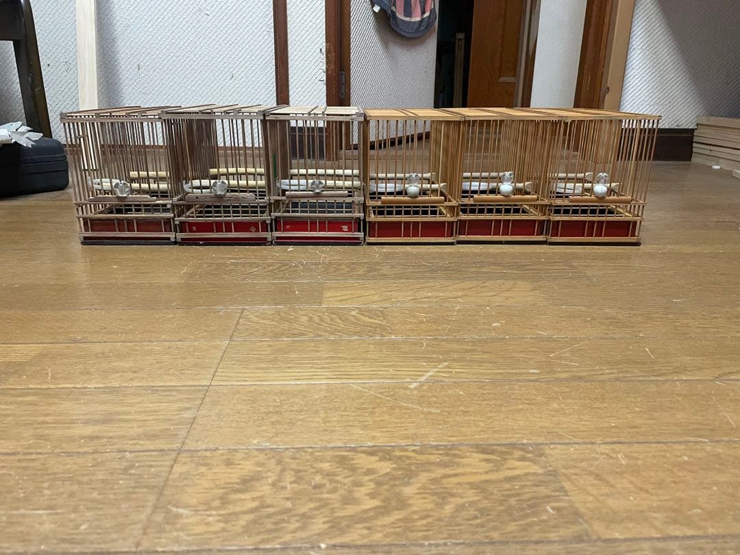 メジロ移動用ボックス メジロ籠6個セット