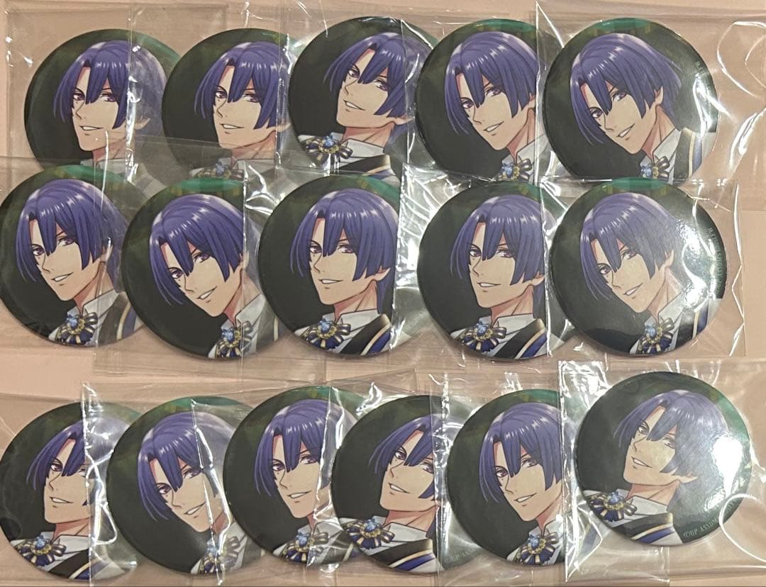 ASSDMS 缶バッジ 13点セット 真斗