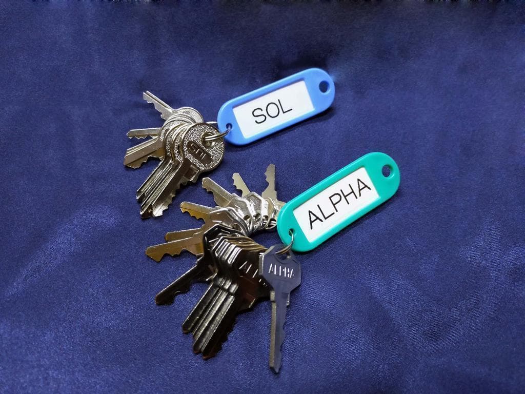 ALPHA SOL 南京錠 同一キー 純正20本フルセット【設備 同一鍵 合鍵】