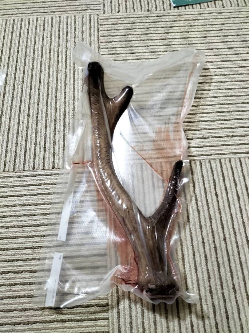鹿茸 袋角 ろくじょう 蝦夷鹿 鹿茸の袋角 約2400g 柔らかい先 蝦夷
