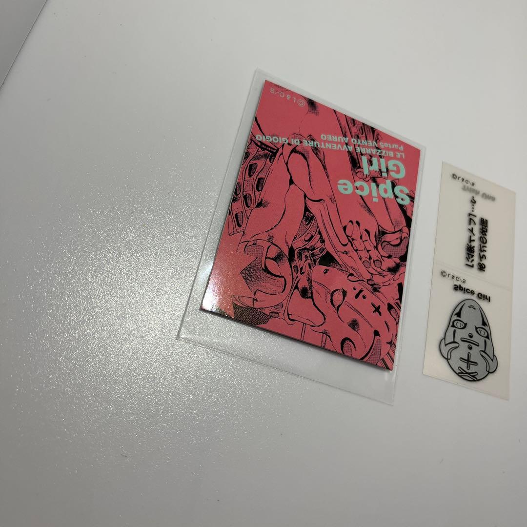 ジョジョの奇妙な冒険　リアルペイントシート 荒木飛呂彦 トリッシュ