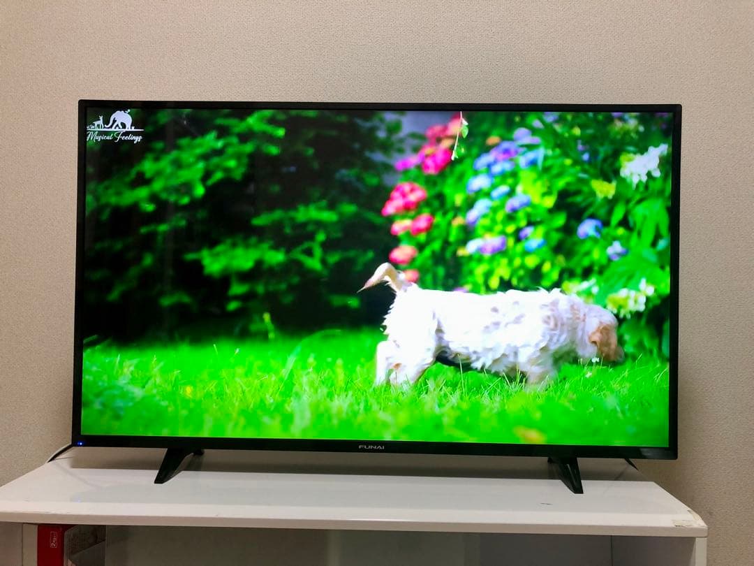 FUNAI 43V型 4K対応液晶テレビFL-43U3040 2022年製