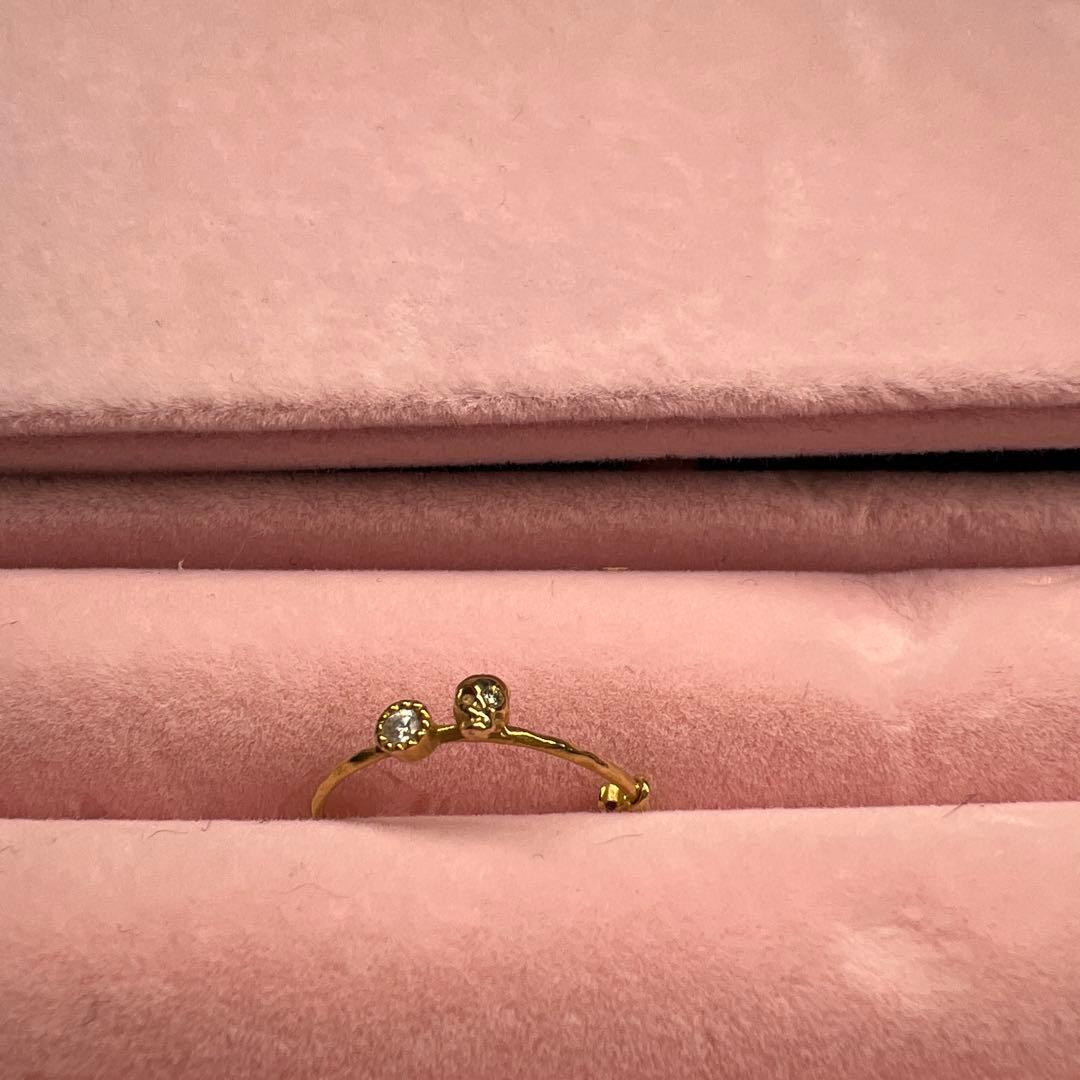 little emblem ダイア ルビー スカルリング 10号 k18