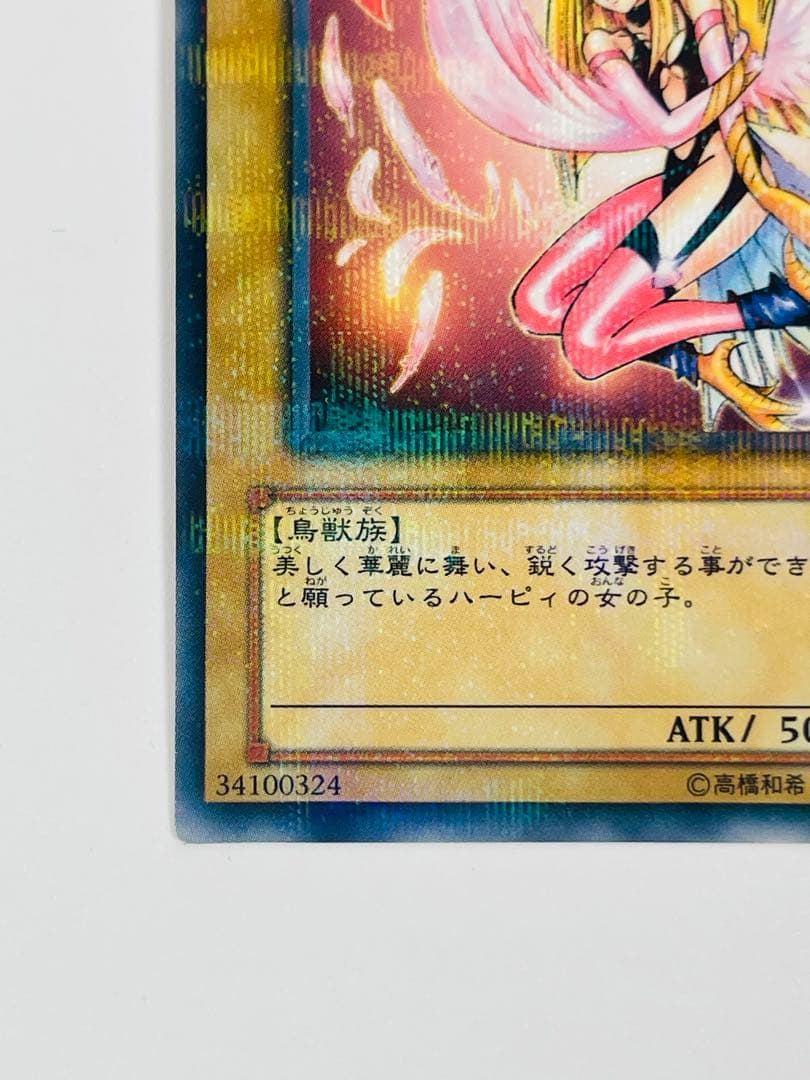 ハーピィ・ガール ノーパラ　トレーディングカード