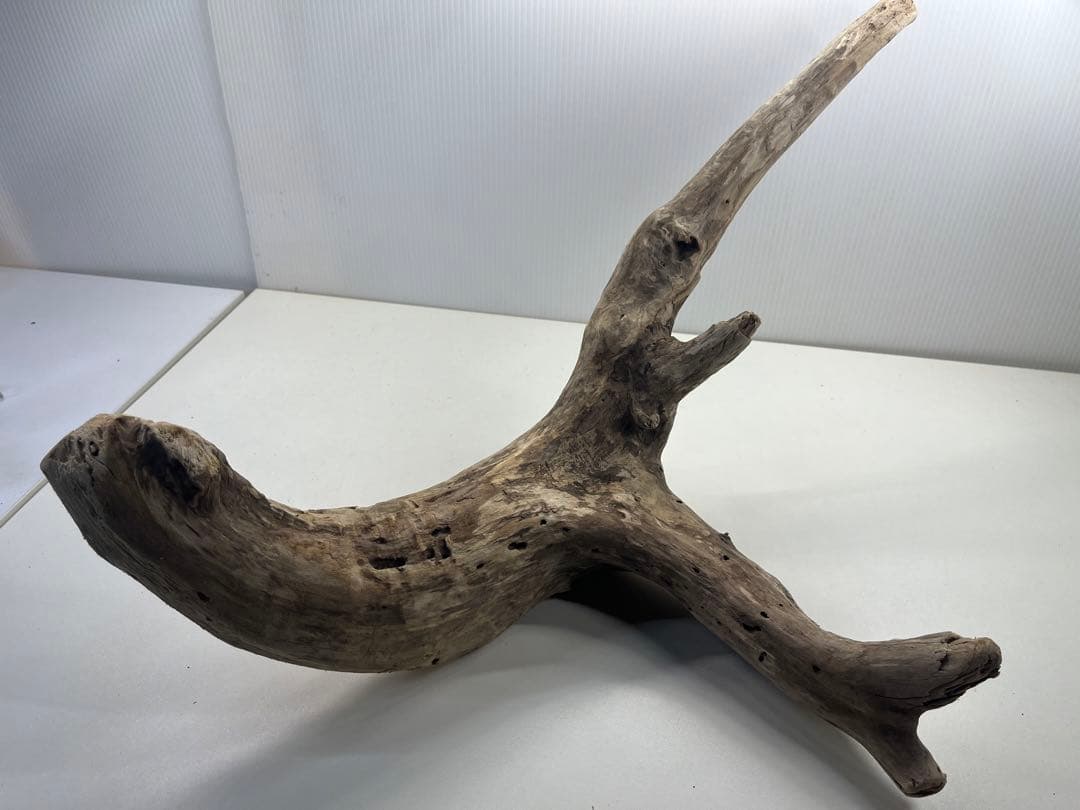 t55アク抜き済み流木セット 爬虫類シェルター 登り木 インテリア エア