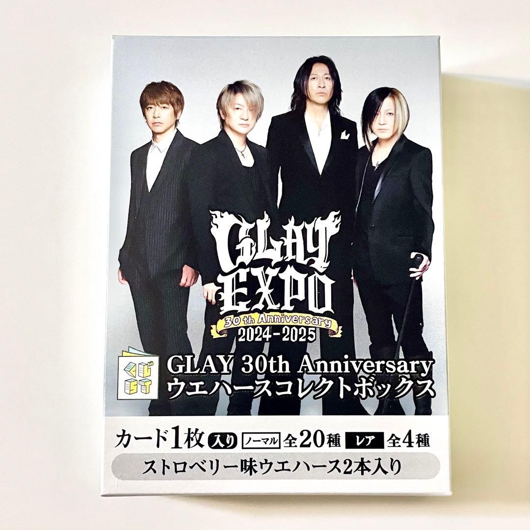 GLAY TERU 直筆サイン入りクリアファイル 1番クジ景品3点セット