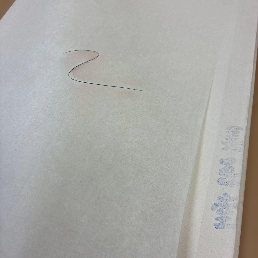 連史紙 福建 美玉堂 全紙 100枚 - メルカリ