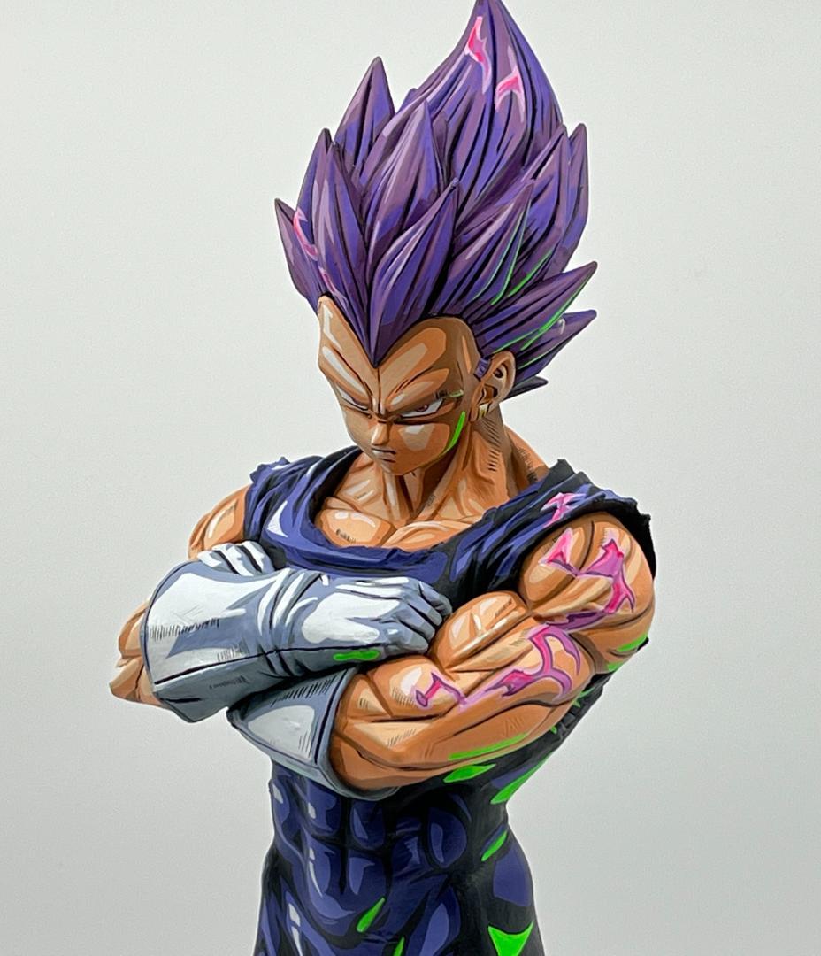 ドラゴンボール超 破壊神ベジータ 我儘の極意 二次元彩色 リペイント フィギュア