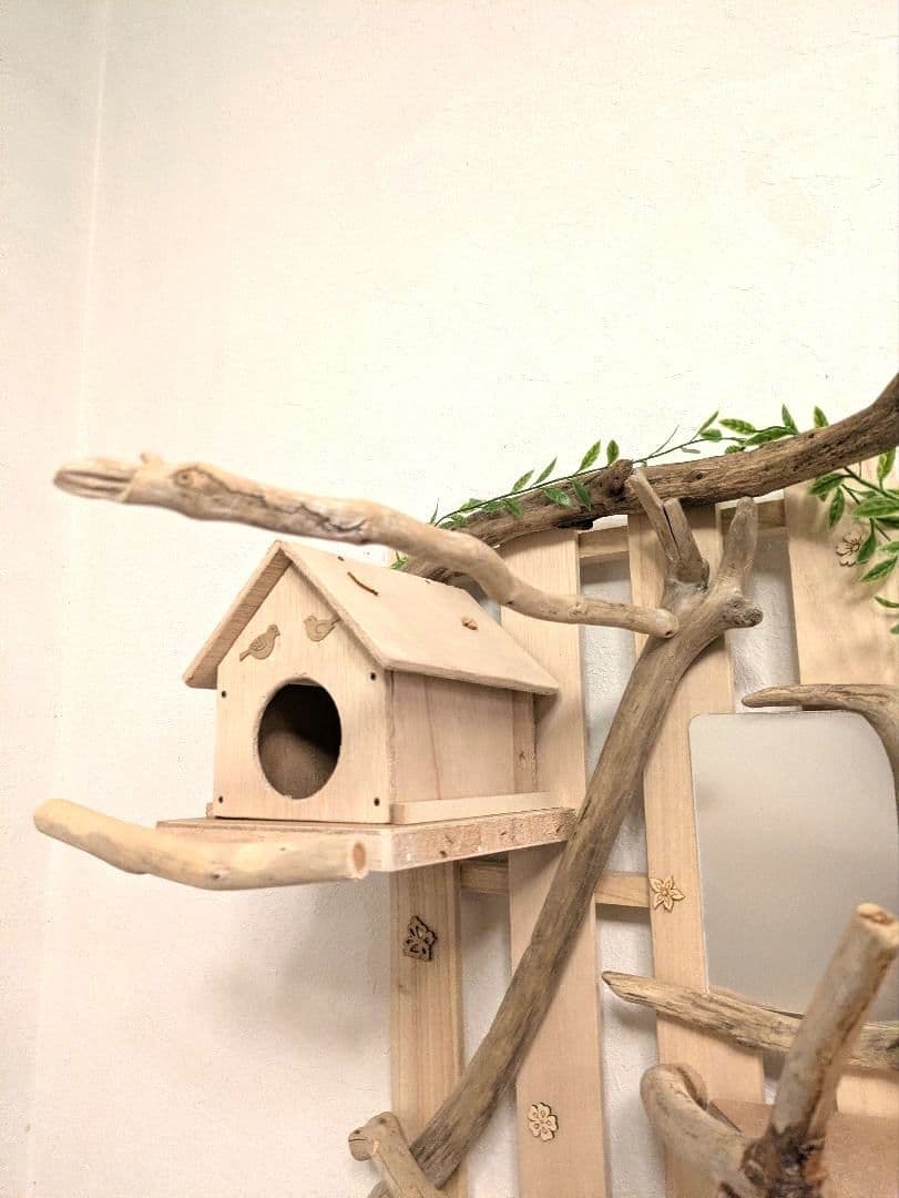 バードアスレチック 流木 壁掛け 止まり木 36バードトイ バードジム