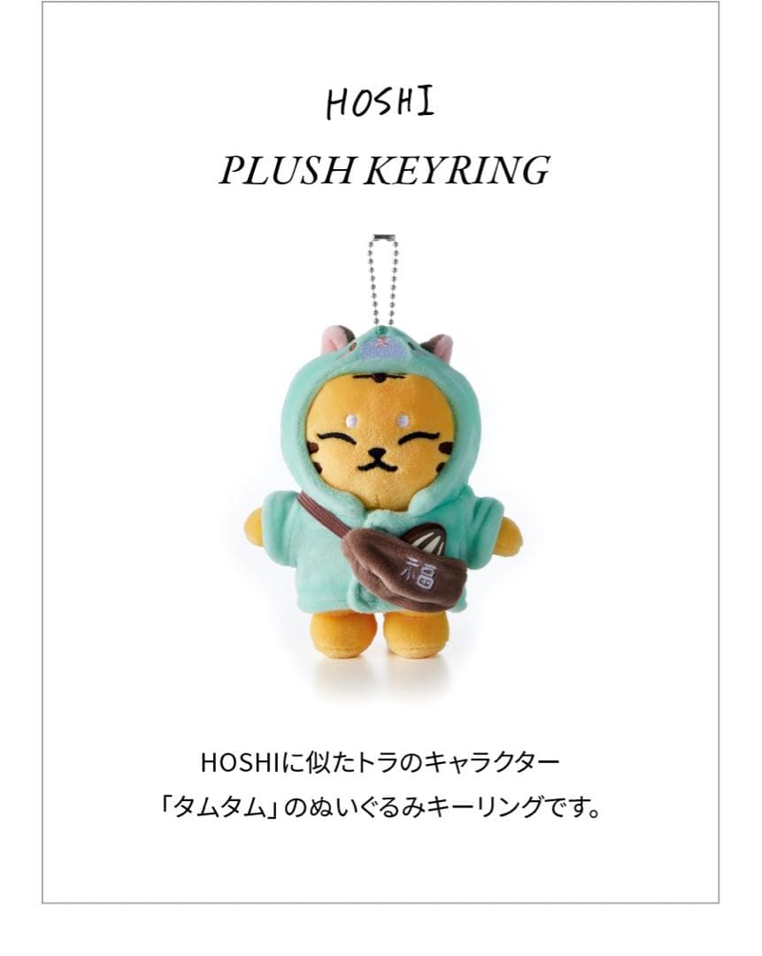 SEVENTEEN アーティストメイド ホシ タムタム ぬいぐるみ 小