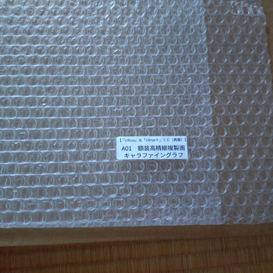 百合漫画　推しちゃれ　citrus　額装高精細複製画　オマケあり（詳細確認にて）