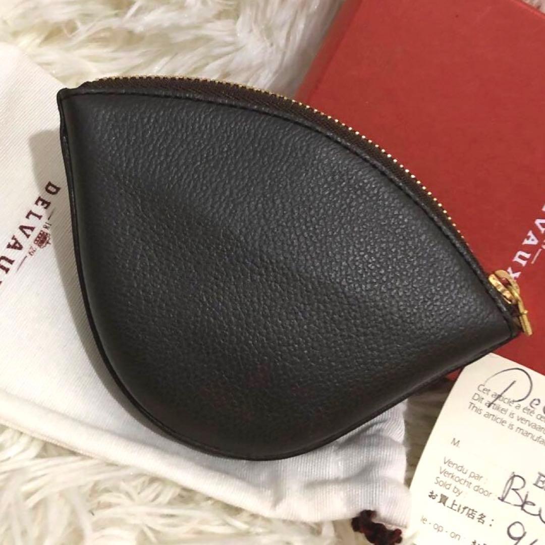 未使用✨デルヴォー レザー　ケース