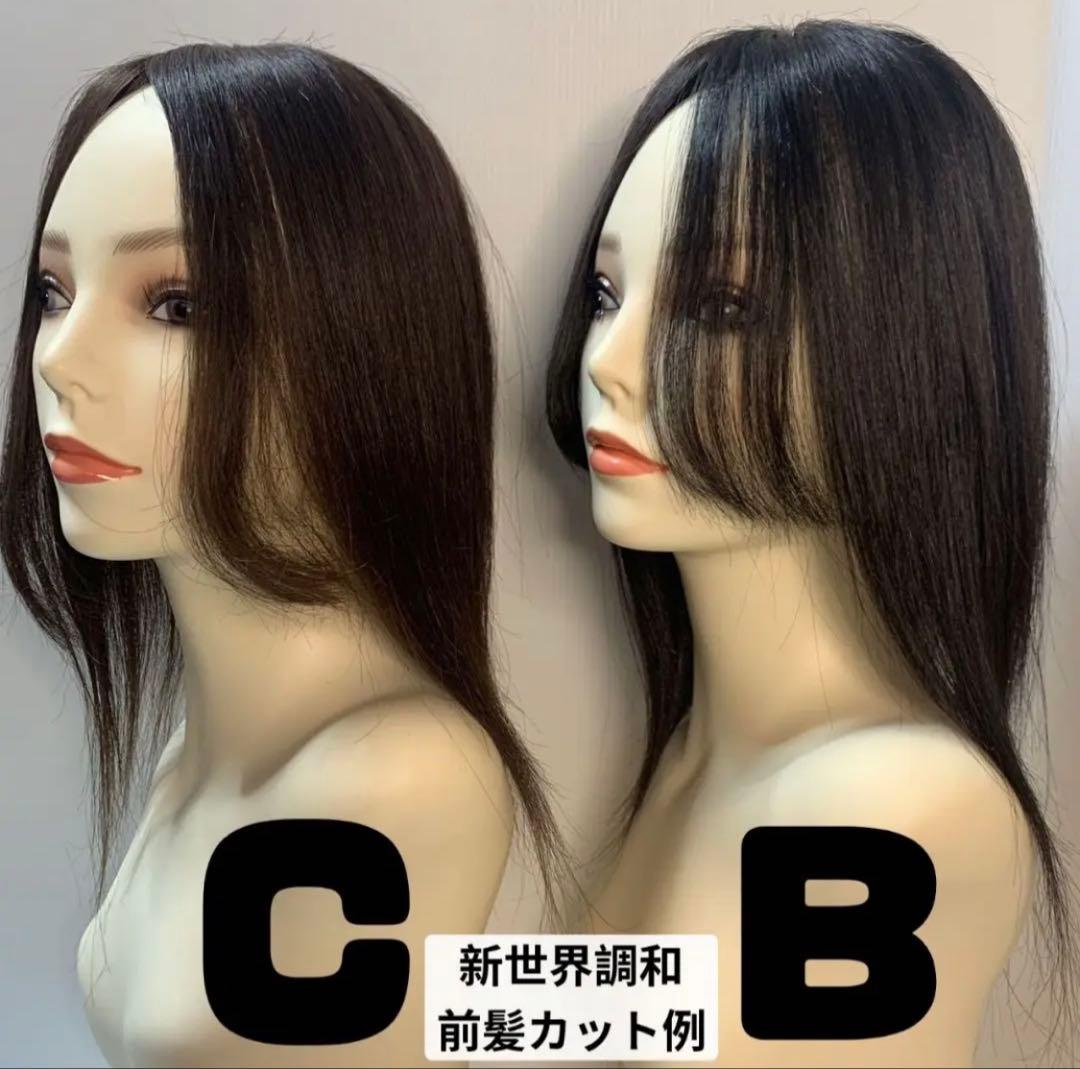2025新世界　人毛100%　ウィッグ　フルウィッグ　ブラック　医療ウィッグ