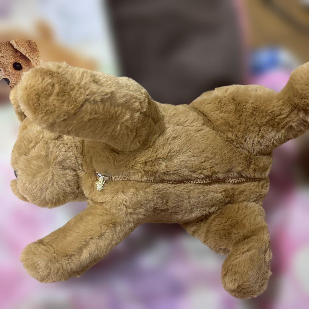 おしゃべりダッキー ココチモ ダッキースター　タカラトミー　美品　ほぼ未使用