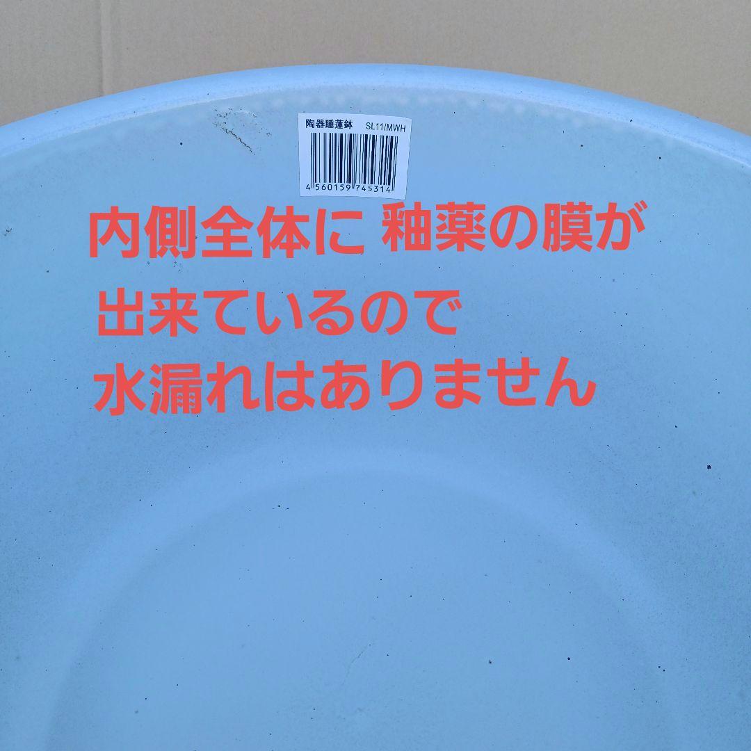 豆助様専用 ∅42 2個セット 陶器睡蓮鉢 メダカ鉢 難有