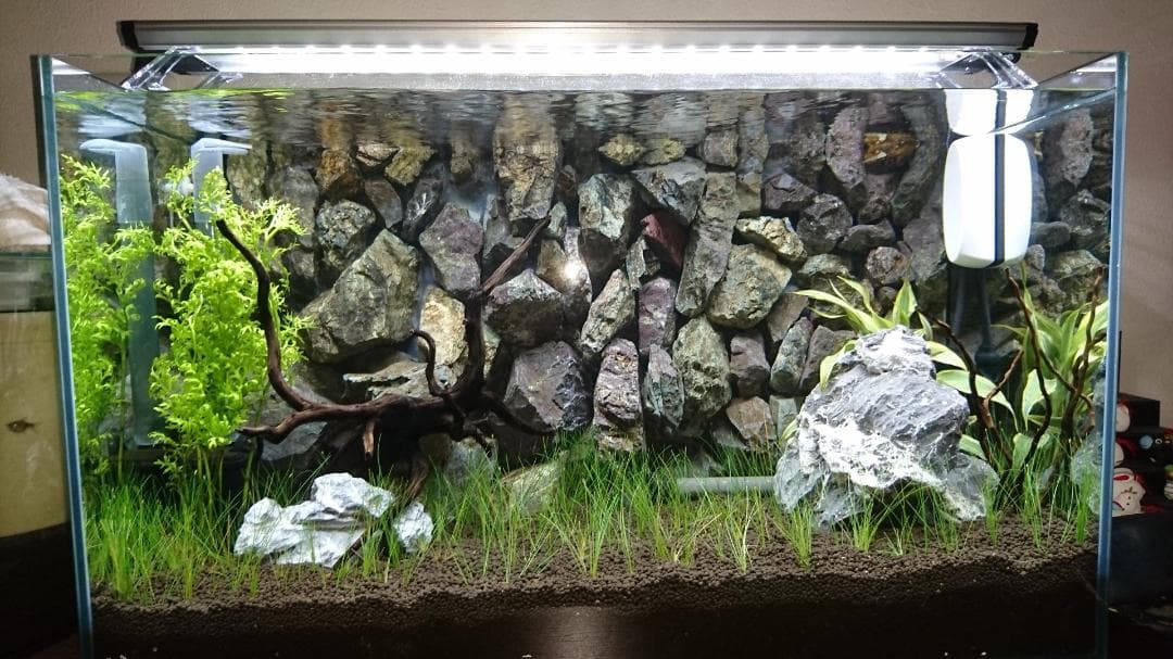 超貴重！60cm水槽用リアルバックスクリーン
