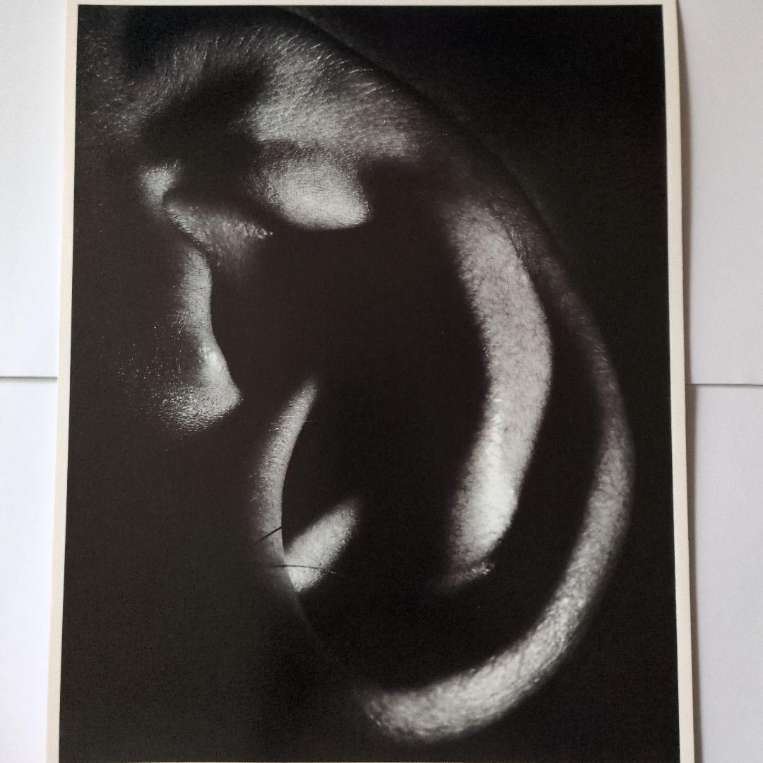 BOOWY 氷室京介 布袋寅泰 ポスター8枚セット LAST GIGS 松井常松の通販