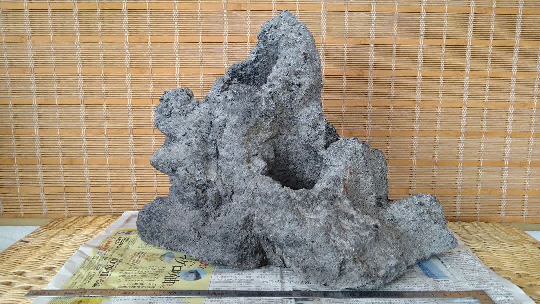 MTW-6351蔦流木1点物 アーチ流木 90cm水槽用流木 アクアリウム 流木 水槽