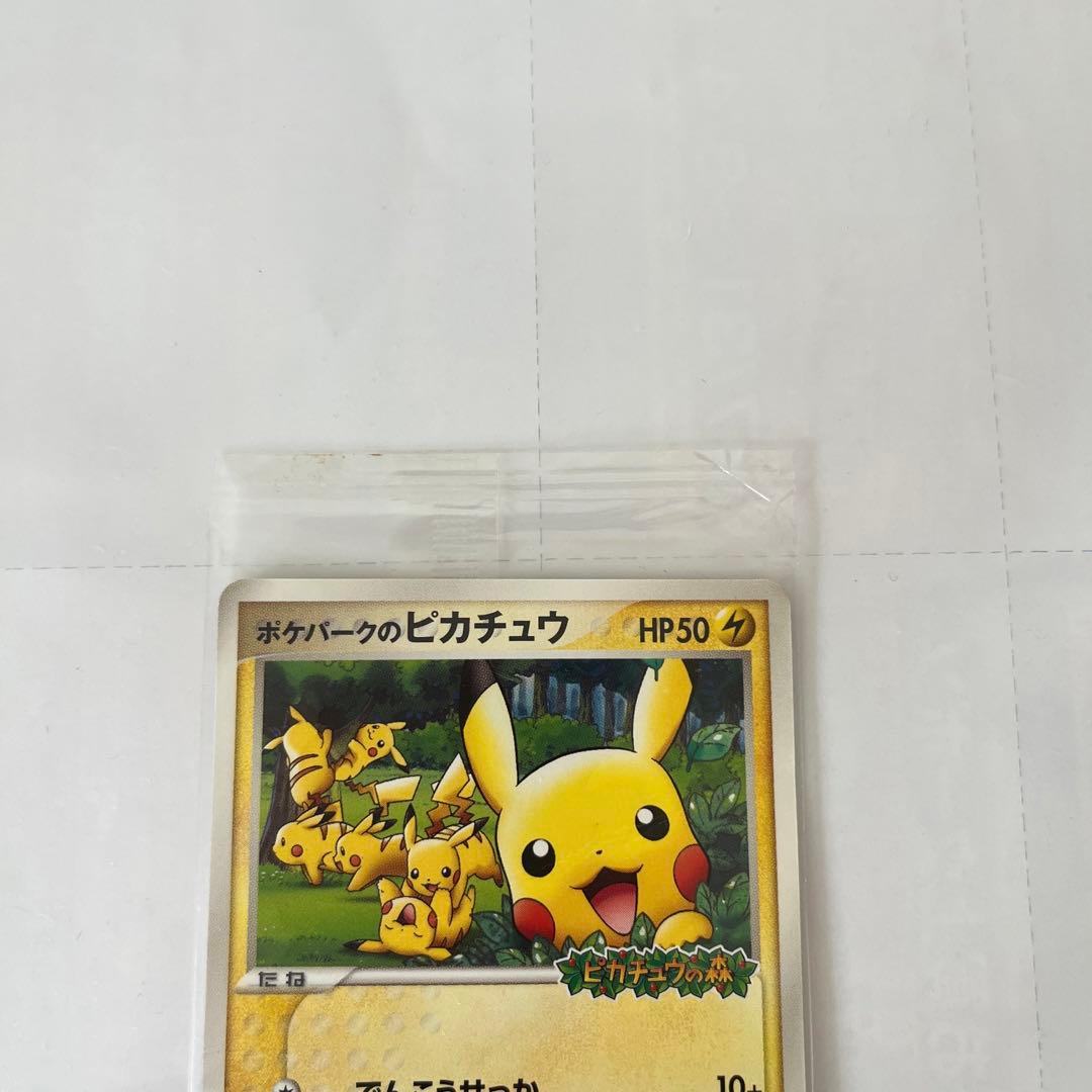 ポケパークのピカチュウ未開封 C991025221 特別