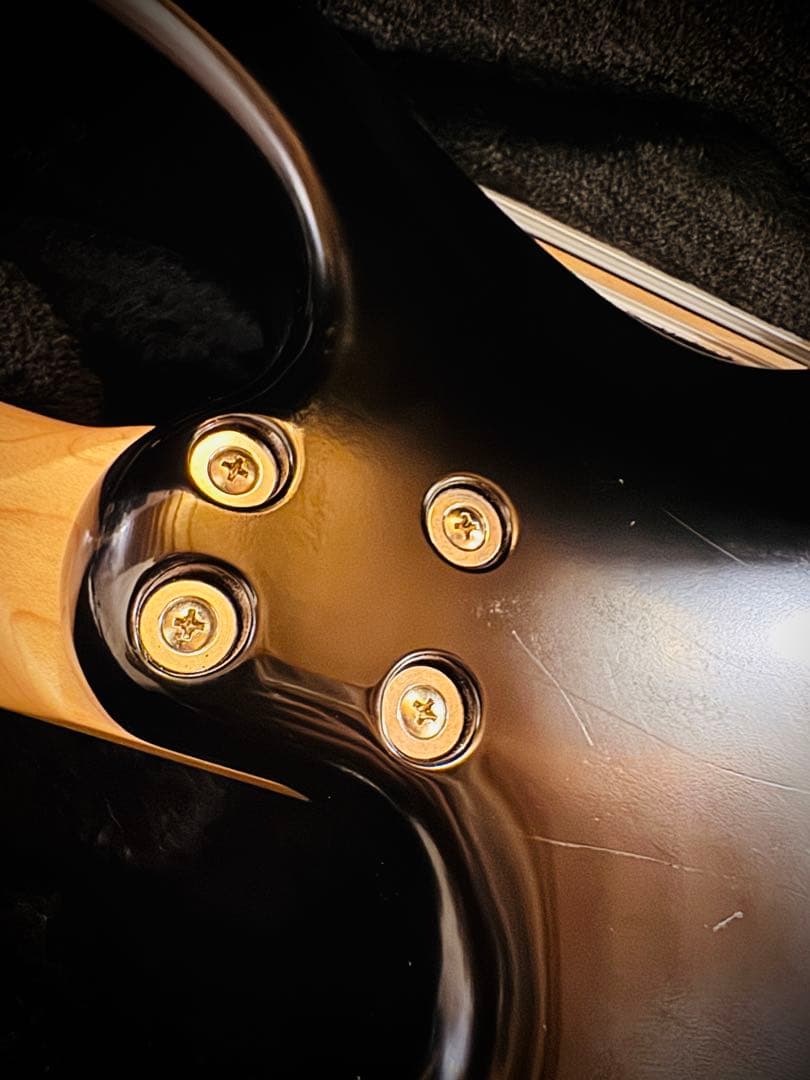 ギター FREEDOM CUSTOM GUITAR RESEARCH EZa 24f