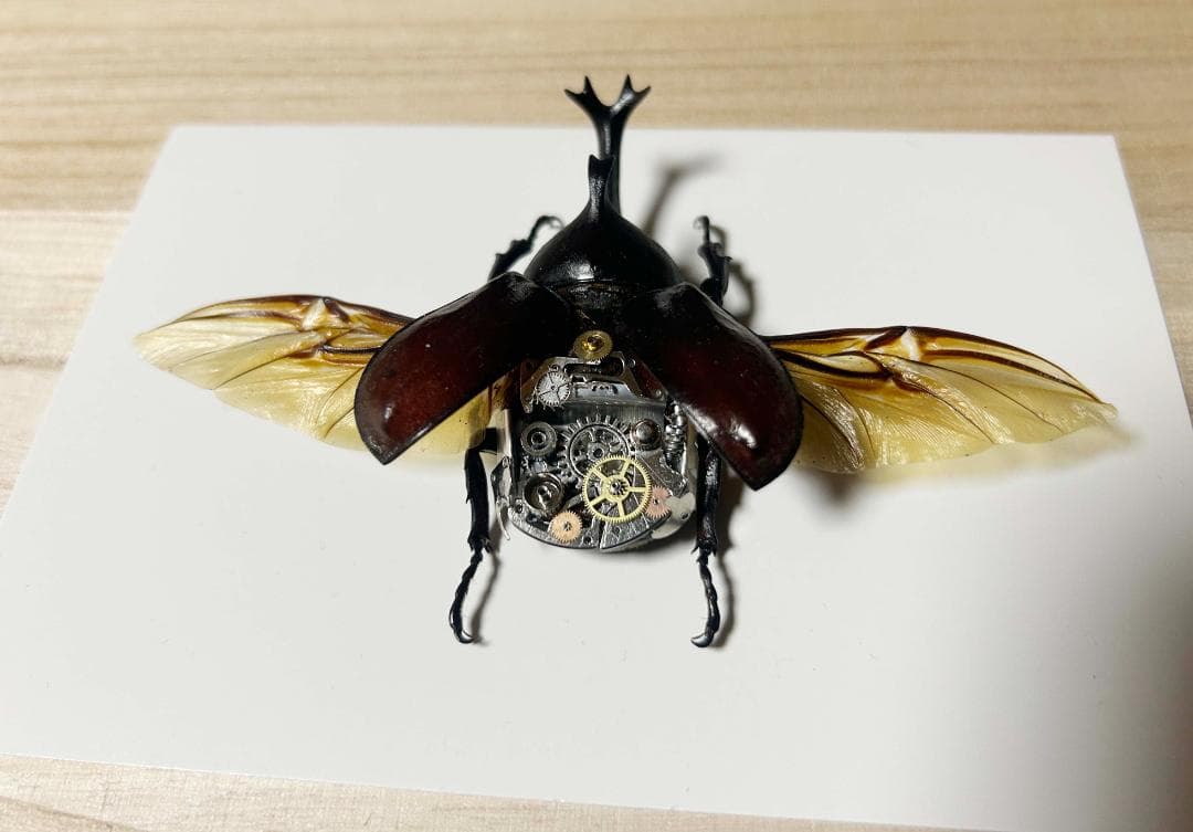 スチームパンク 手作り カブトムシ標本 機械 歯車 昆虫標本 - メルカリ
