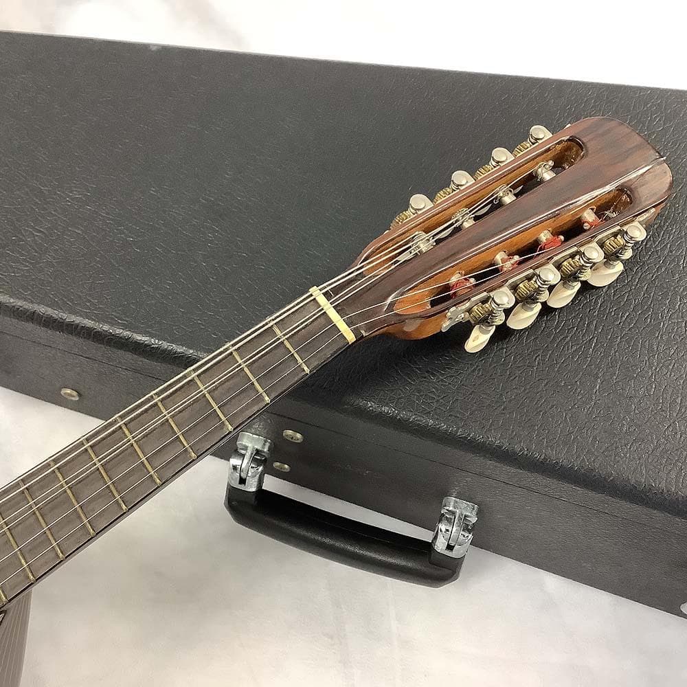 落合忠男 マンドリン 1978 ハードケース付