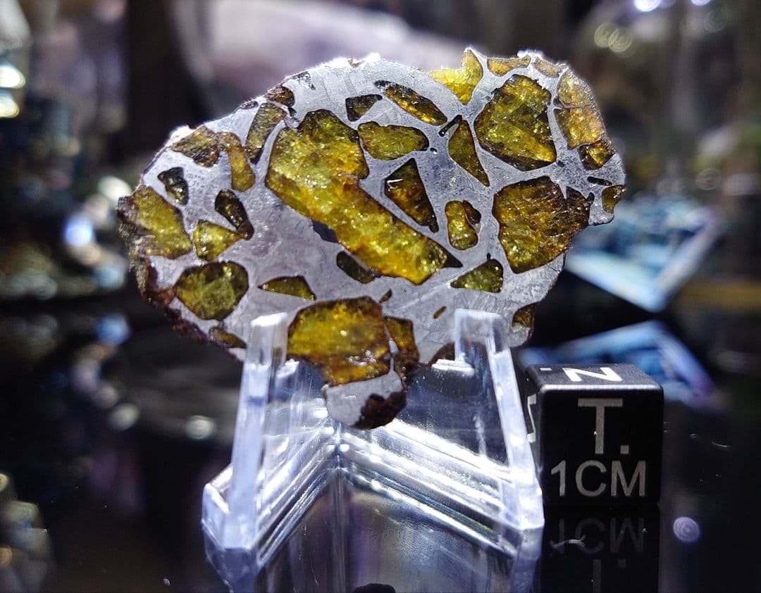 ⭐️11.3g イミラック パラサイト 隕石 Imilac