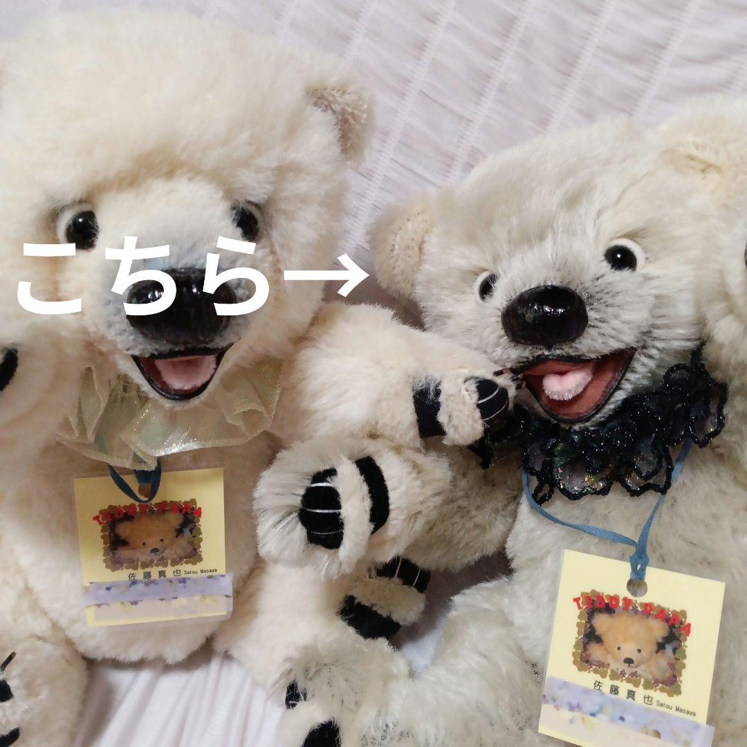 TEDDY PAPA 佐藤真也猫テディベア作家アーティストベア