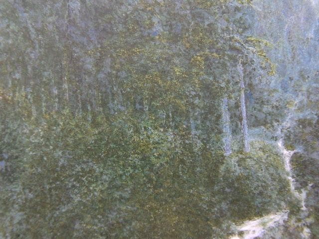 澤野文臣、【翳】、希少な額装用画集より、美品、新品額装付