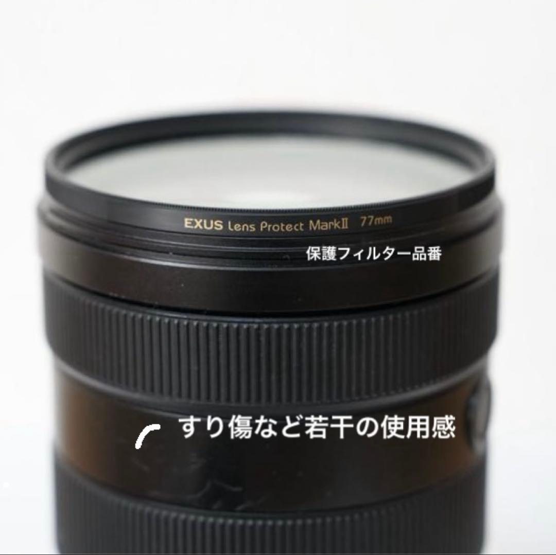 ソニー SONY FE 24-105mm F4 G OSS SEL24105G - メルカリ
