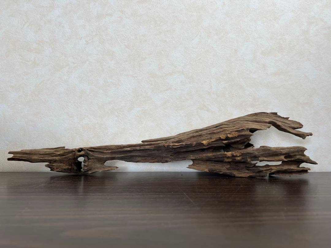 XM-446 流木 マシンガンウッド ブランチウッド アクアリウム - メルカリ