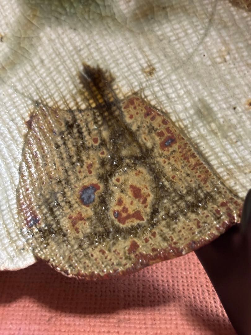 河井寛次郎作柿緑釉麻布目輪花三ツ足皿 製作番