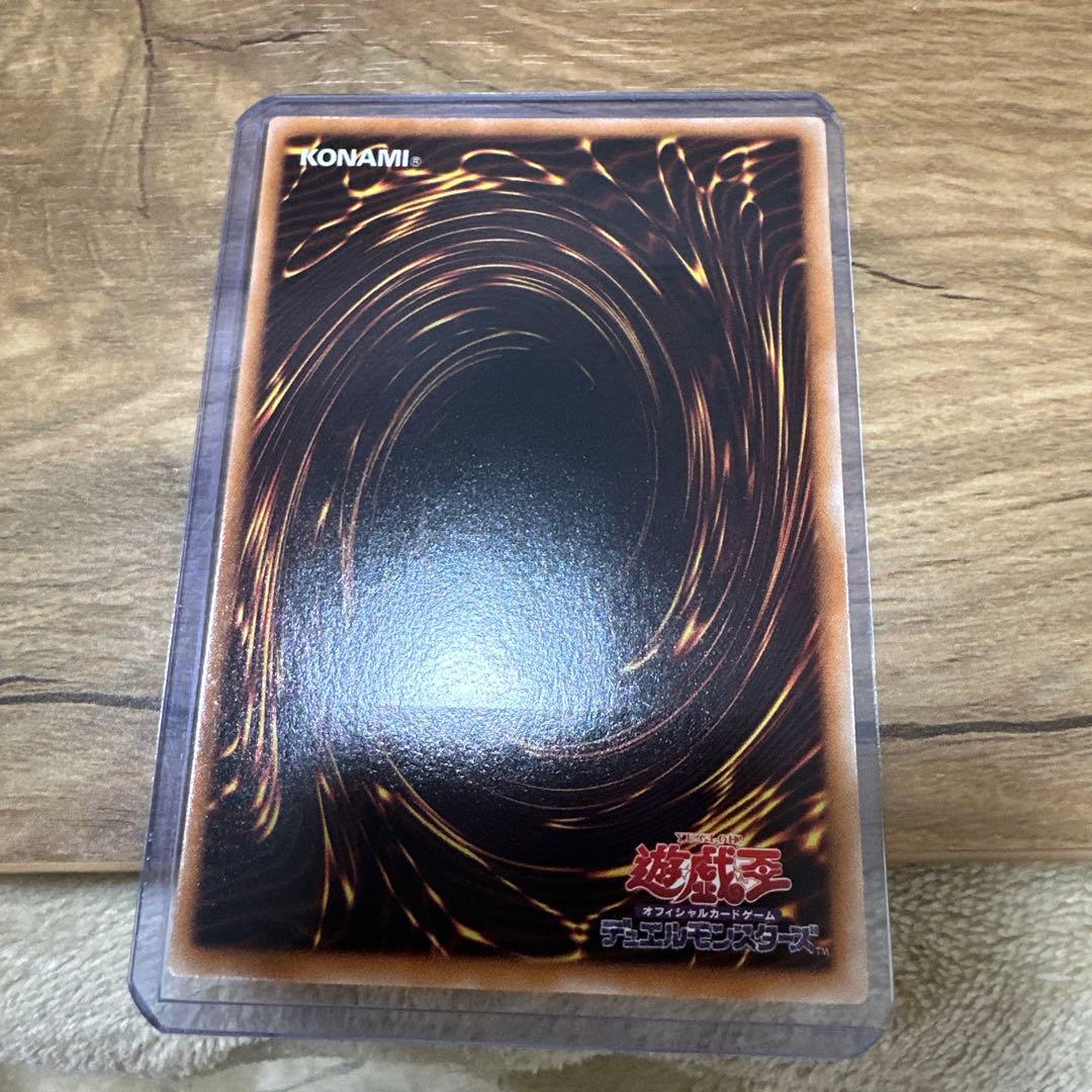 遊戯王 ブラック・ローズ・ドラゴン レリーフ 極美品 - メルカリ