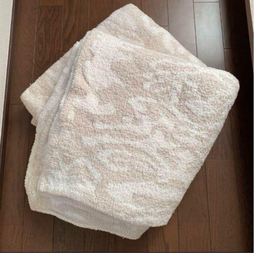 螺鈿 漆塗り ペン S20 PILOT 京都オパール