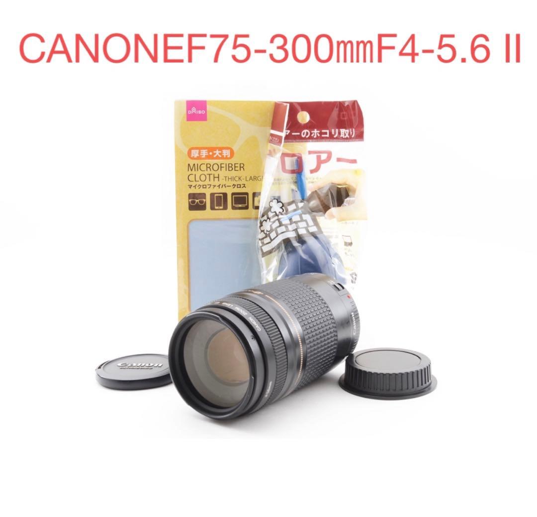 望遠レンズ/付属品付き/CANON EF 75-300㎜ F4-5.6 II EF75-300mm F4-5.6 II USM - キヤノンカメラミュージアム