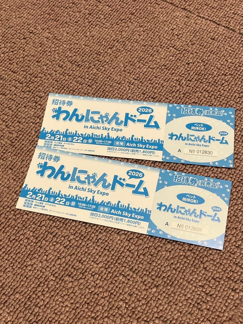 わんにゃんドーム 招待券 2枚セット 2026 - メルカリ