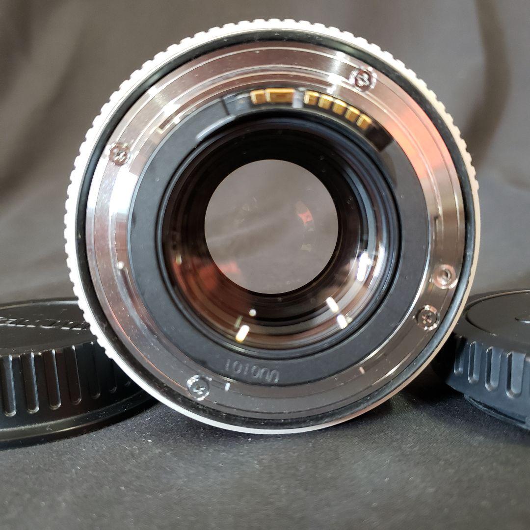 キャノン EF 300mm F2.8L EXTENDER EF 1.4x II