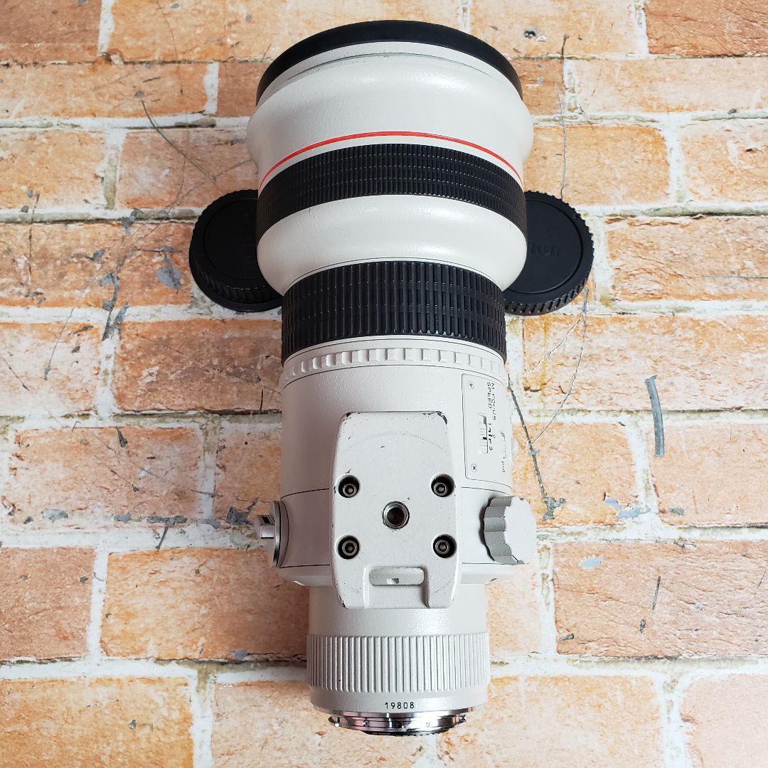 キャノン EF 300mm F2.8L EXTENDER EF 1.4x II