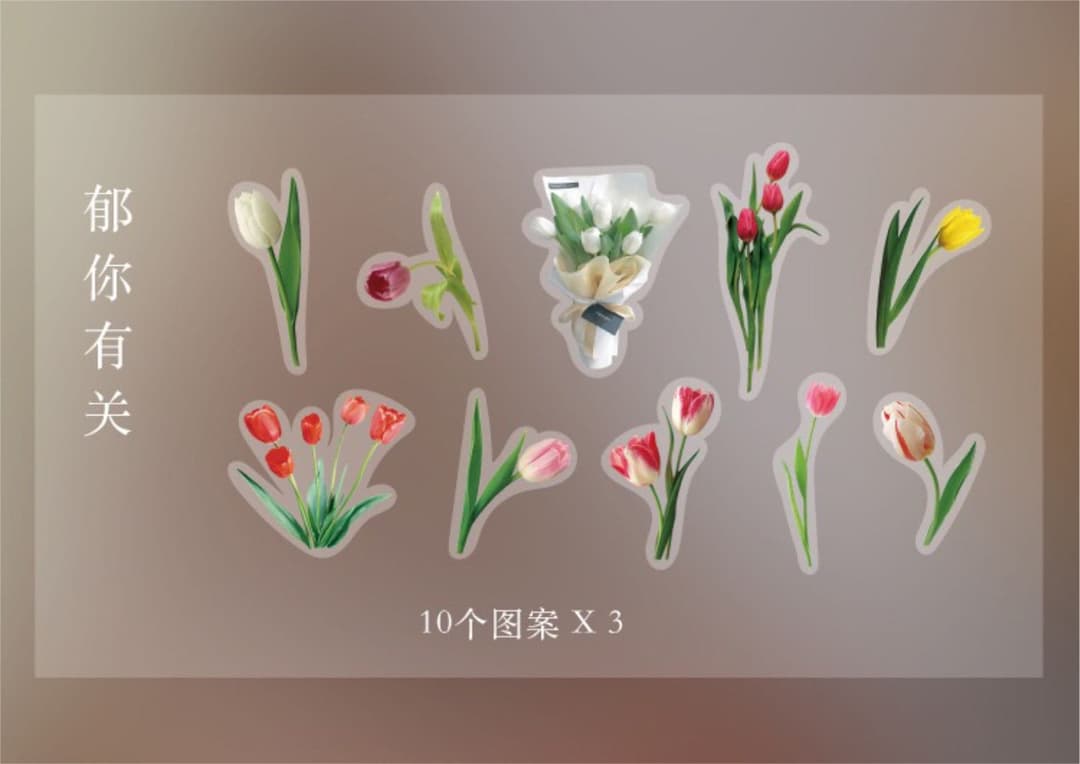 フォロワー様限定84☆様々なリアルマテリアル PET ステッカー 8種類セット